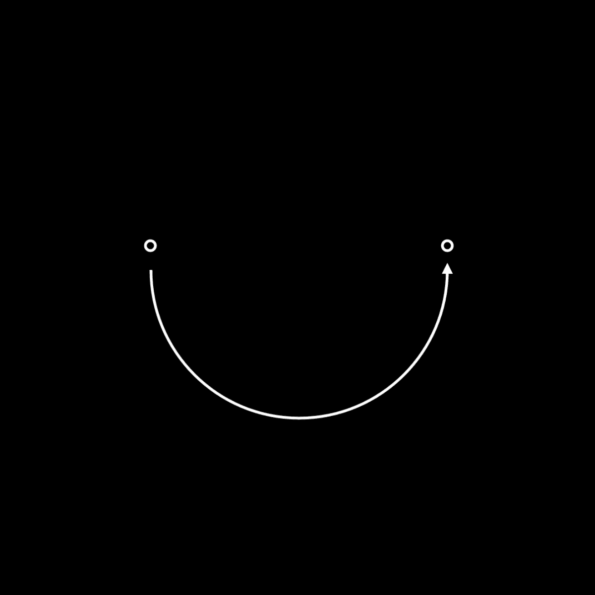 “Happiness is the meaning and the purpose of life, the whole aim and end of human existence.”